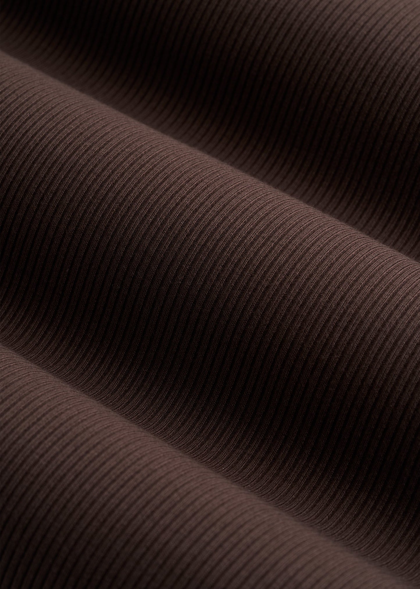 Ribbed Knit Long Sleeve Polo for Tall Women in Espresso